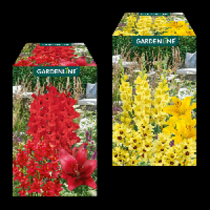 GARDENLINE Blumenzwiebeln Farbmix