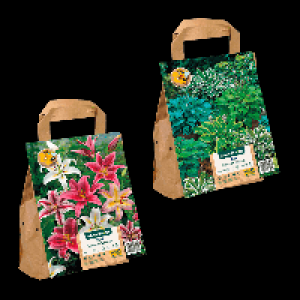 GARDENLINE Blumenzwiebeln