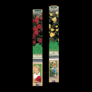 GARDENLINE Mini-Stammrose