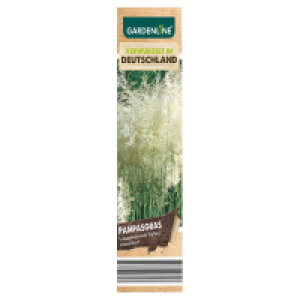 Aldi Süd  GARDENLINE Pampasgras