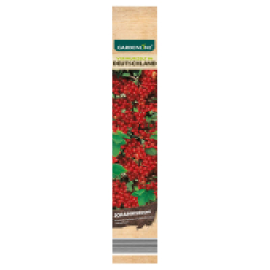 GARDENLINE Gartenpflanzen Mix 2.79 €