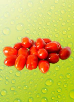 Ernte Krone Fresh Dat­tel­cher­ry­to­ma­ten