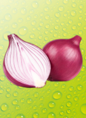 Norma Ernte Krone Fresh Zwie­beln