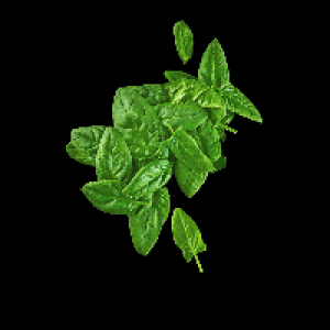 BIO Spinat 1.19 €