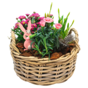 GARDENLINE Bepflanzter Korb