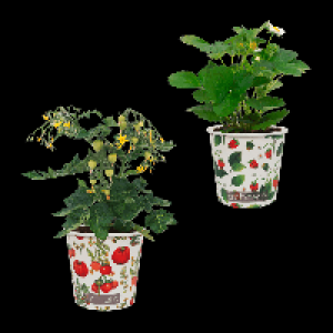 GARDENLINE Obstmix im Becher