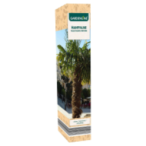 GARDENLINE Palmen-Mix