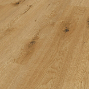 LOGOCLIC Edition Laminat Family Riverside