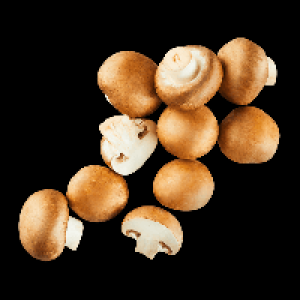 Große Kulturchampignons braun