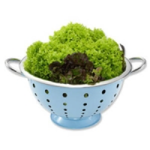 Salatseiher 5.99&nbsp;&euro;