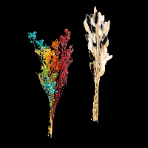 HOME CREATION Trockenblumen
