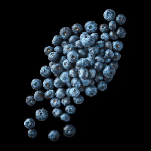 Kulturheidelbeeren