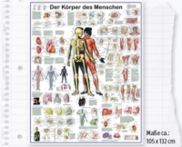 Wandkarte 2.99 €