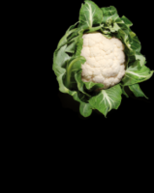Blumenkohl 1.97 €