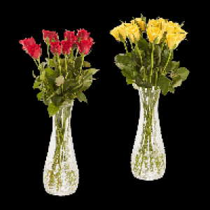 GARDENLINE Rosen