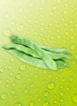 Norma Ernte Krone Fresh Boh­nen Breit