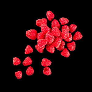 Aldi Nord  Himbeeren
