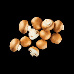 Aldi Nord Bio BIO Kulturchampignons braun