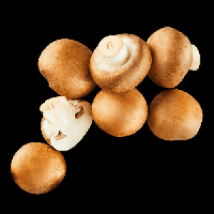 Kulturchampignons braun