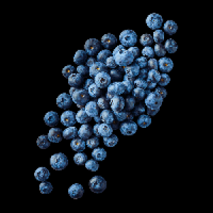 Kulturheidelbeeren