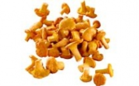 Pfifferlinge 1.99&nbsp;&euro;