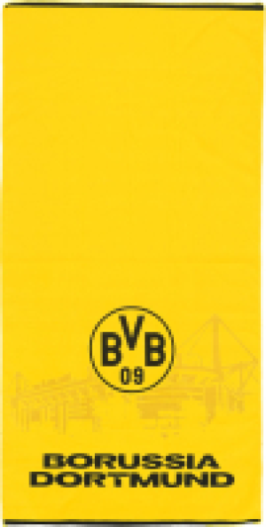 Sporttuch Borussia Dortmund