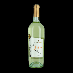 COPPIERE Chardonnay Valdadige D.O.C.