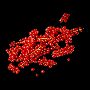 Johannisbeeren 1.99&nbsp;&euro;