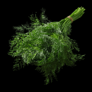 Dill 1.69 €