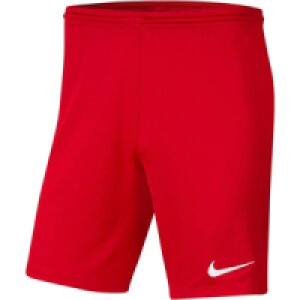 InterSport  Herren Teamshorts Dri-FIT PARK III
