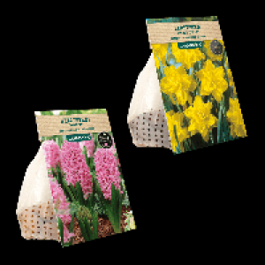 GARDENLINE Herbstblumenzwiebel-Spezialität