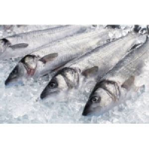 Wolfsbarsch 24.99 €