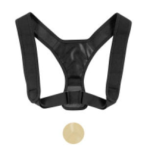 Aldi Süd  CRANE Haltungstrainer