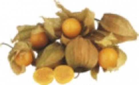 Physalis 0.99&nbsp;&euro;