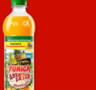 PUNICA Abenteuer-Drink 0.79&nbsp;&euro;