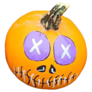 Aldi Süd  GARDENLINE Kürbis Jack o´lantern