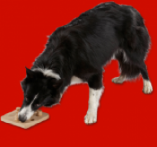 Intelligenz-Spielzeug 6.99&nbsp;&euro;