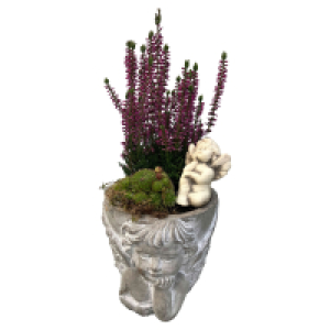 GARDENLINE Grabbesonderheiten