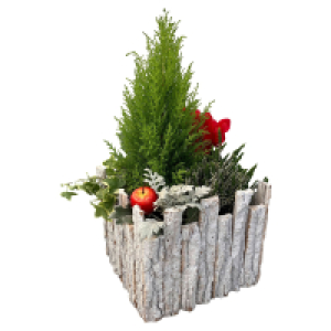 Aldi Süd  GARDENLINE Grabschmuck