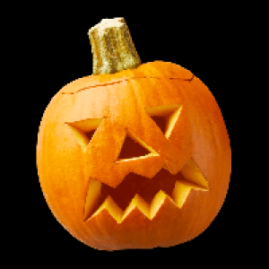 Speise- und Schnitzk&uuml;rbis Halloween 3.99&nbsp;&euro;