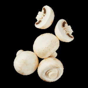 Kulturchampignons groß