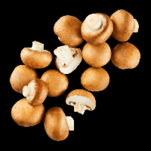 Aldi Nord Bio BIO Kulturchampignons braun