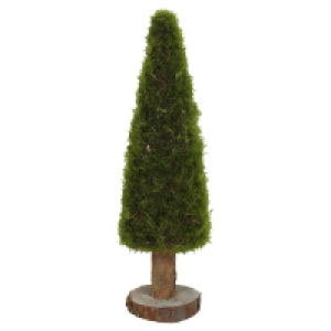 GARDENLINE Moosbaum 40 cm