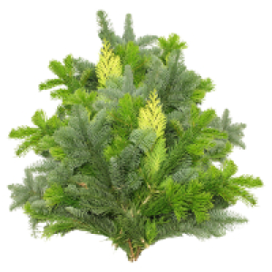 GARDENLINE Tannenhandbunde 1.000 g, Mix