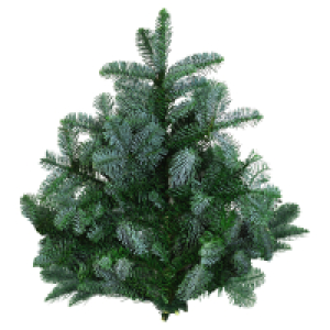 GARDENLINE Tannenhandbunde 1.000 g, Nobilis