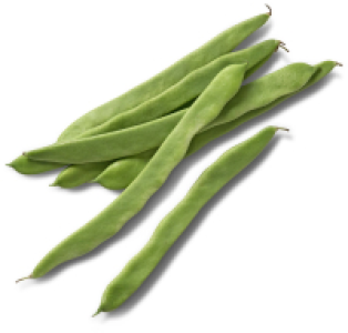 Marokk. Bohnen, breit