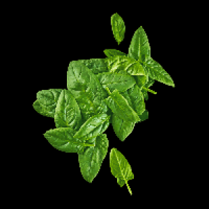 BIO Spinat 1.39&nbsp;&euro;