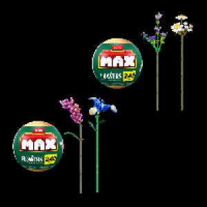 ZURU Max-Klemmbausteine