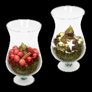 Aldi Nord Gardenline GARDENLINE Amaryllis im Glasschwenker