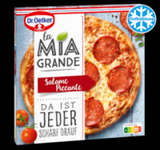DR. OETKER La Mia Grande Salame Piccante